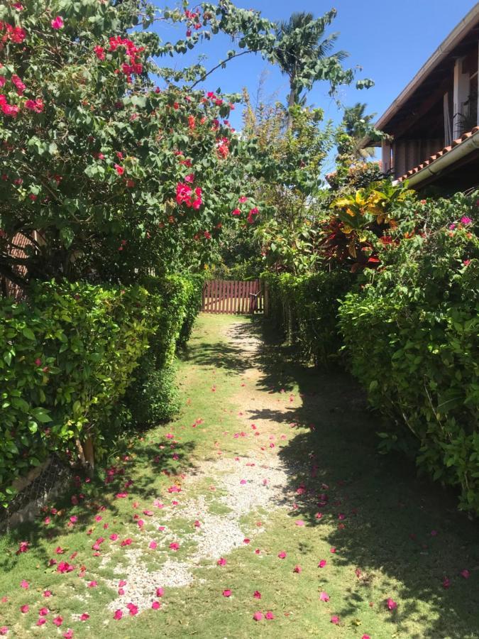 Cozy Oceanfront Villa With Direct Beach Access Las Terrenas Buitenkant foto