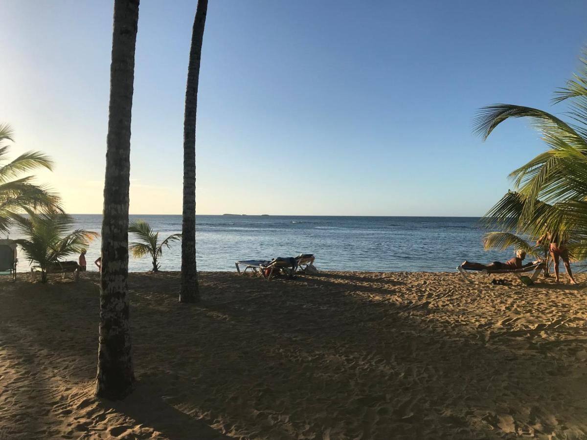 Cozy Oceanfront Villa With Direct Beach Access Las Terrenas Buitenkant foto