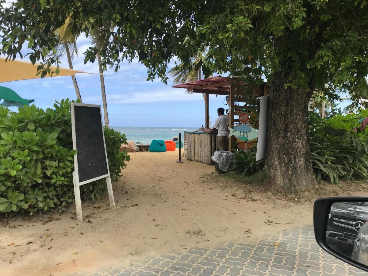 Cozy Oceanfront Villa With Direct Beach Access Las Terrenas Buitenkant foto