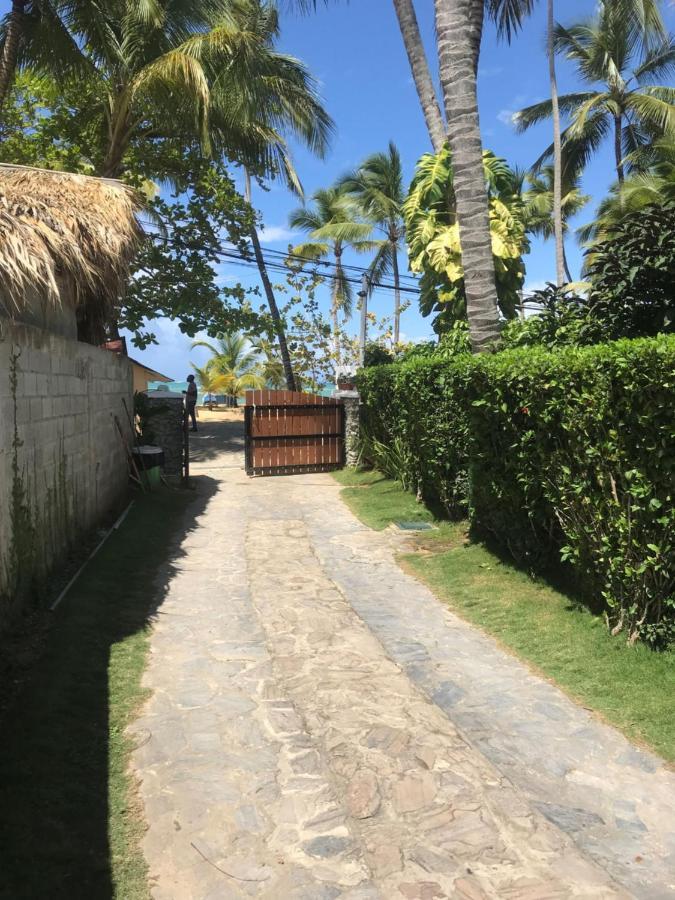 Cozy Oceanfront Villa With Direct Beach Access Las Terrenas Buitenkant foto